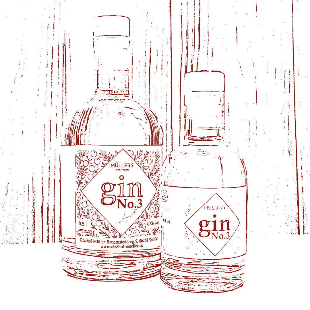 Gin No.3 vom Obsthof Müller