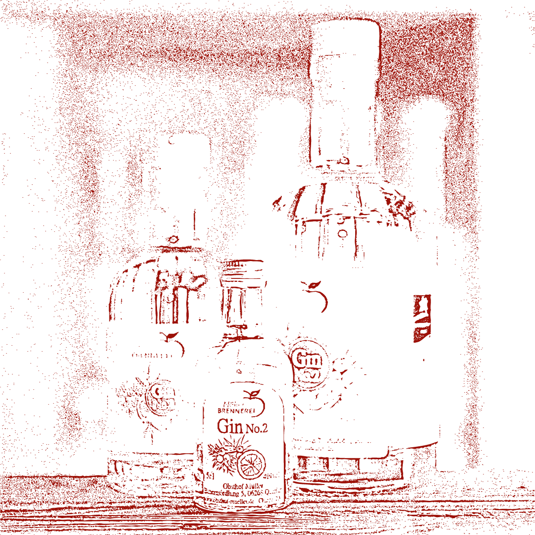 Gin No.2 vom Obsthof Müller