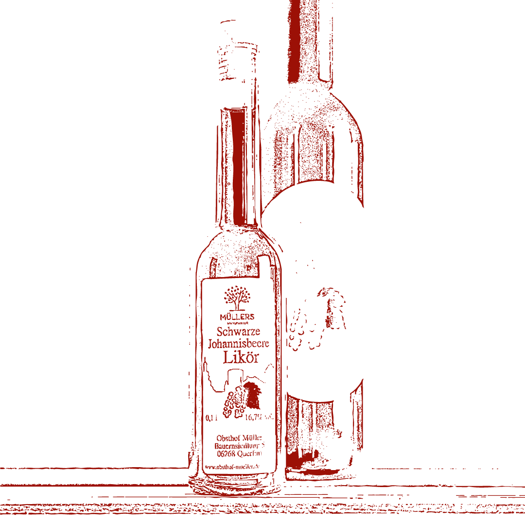 Schwarze Johannisbeere Likör vom Obsthof Müller