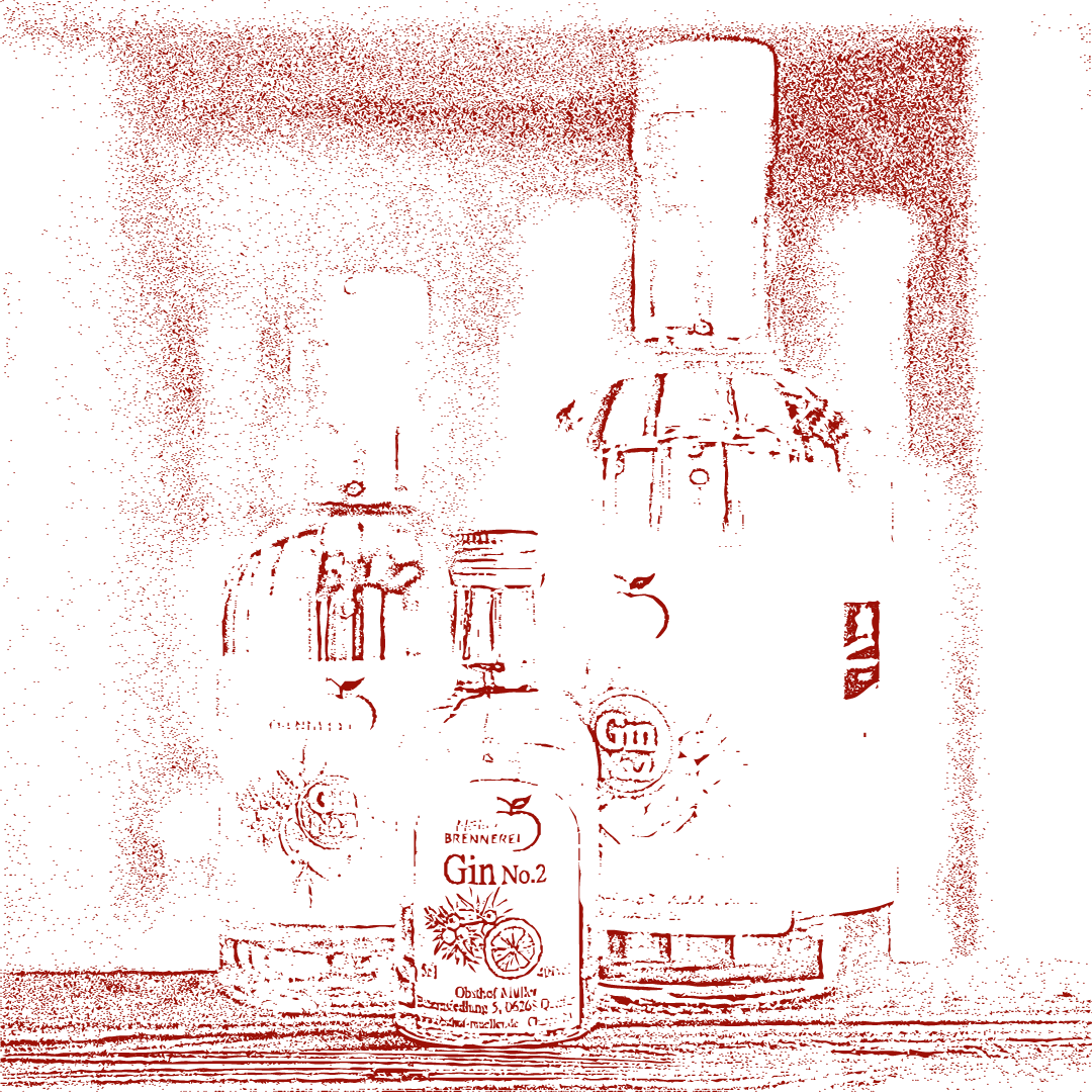 Gin No.2 vom Obsthof Müller